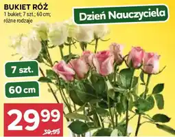 Stokrotka Bukiet Róż oferta