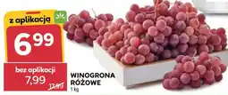Stokrotka Winogrona Różowe oferta
