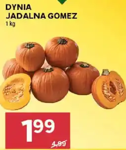 Stokrotka Dynia Jadalna Gomez oferta
