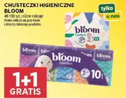 Stokrotka Chusteczki higieniczne Bloom oferta