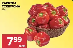 Stokrotka Papryka Czerwona oferta
