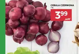 Stokrotka Cebula Czerwona oferta