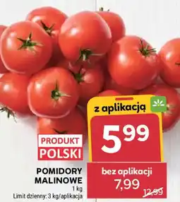 Stokrotka Pomidory Malinowe oferta