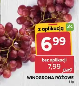 Stokrotka Winogrona Różowe oferta
