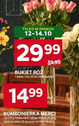Stokrotka Bukiet Róż oferta