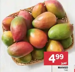 Stokrotka MANGO oferta