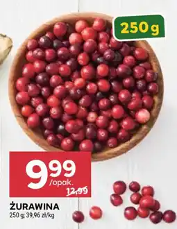 Stokrotka Żurawina oferta