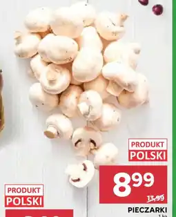 Stokrotka Pieczarki oferta