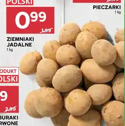 Stokrotka Ziemniaki Jadlane oferta