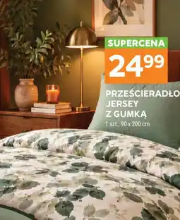 Stokrotka Prześcieradło Jersey z gumką oferta