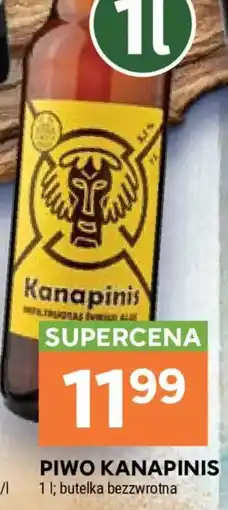 Stokrotka Piwo Kanapinis oferta