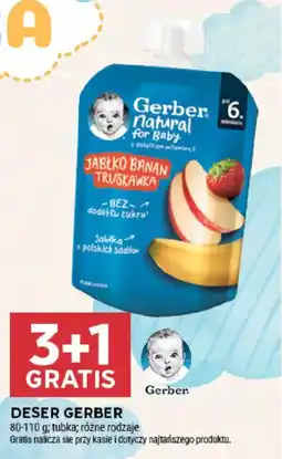 Stokrotka Deser Gerber oferta