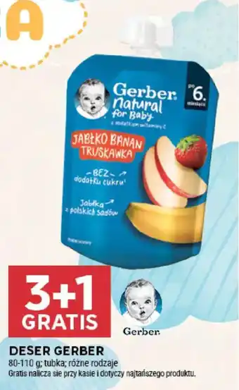 Stokrotka Deser Gerber oferta