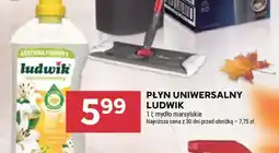 Stokrotka Płyn uniwersalny Ludwik oferta