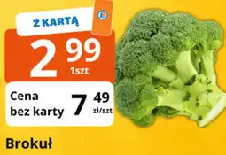 E.Leclerc Brokuł oferta