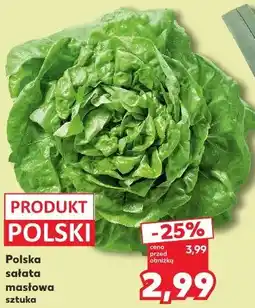 Kaufland Polska sałata masłowa oferta