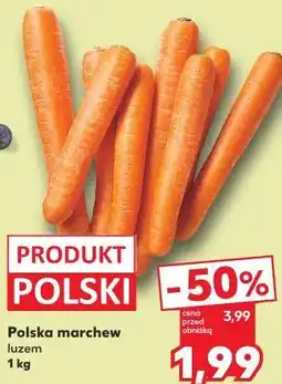 Kaufland Polska marchew luzem oferta