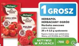 Kaufland Herbapol Herbaciany Ogród Herbata owocowa oferta