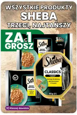 Dino Karma dla kotów Sheba oferta