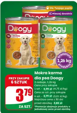 Dino Mokra karma dla psa Doogy oferta