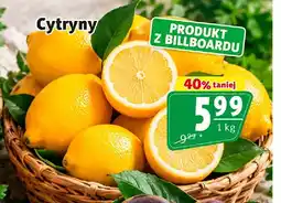 Prim Market Cytryny oferta