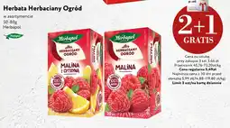 Market Point Herbata Herbaciany Ogród malina Herbapol oferta