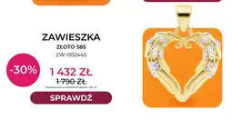 Briju Zawieszka złoto 585 ZW-002445 Briju oferta