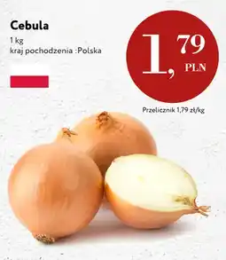 Market Point Cebula polska oferta