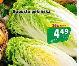 Prim Market Kapusta pekińska oferta