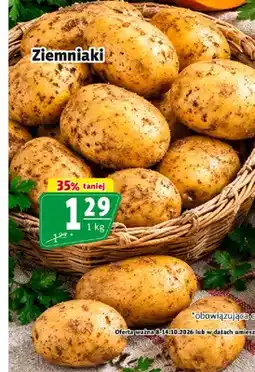 Prim Market Ziemniaki oferta