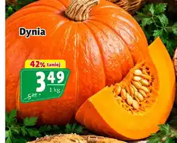 Prim Market Dynia oferta