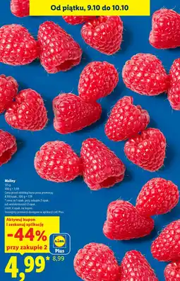 Lidl Maliny Plus-Plus oferta