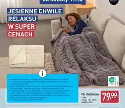 ALDI Koc oferta