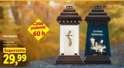 Lidl Znicz oferta