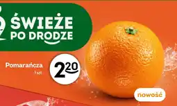 Żabka Pomarańcza oferta