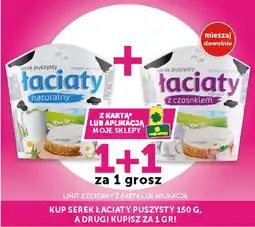 ABC Serek Puszysty Łaciaty oferta