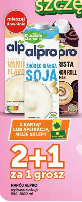 Groszek Napój Alpro oferta