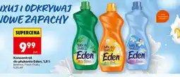Biedronka Koncentrat do płukania Eden oferta