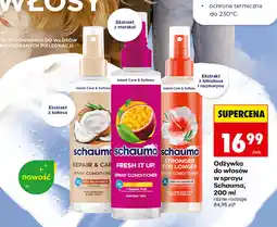 Biedronka Schauma Odżywka do włosów w sprayu oferta