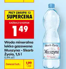 Biedronka Woda mineralna lekko gazowana Muszyna - Skarb Życia oferta