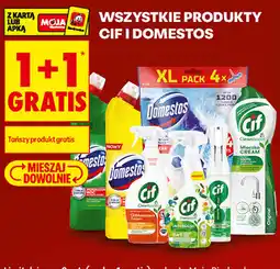 Biedronka Wszystkie produkty Cif i Domestos oferta