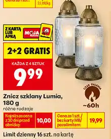 Biedronka Znicz szklany Lumia oferta