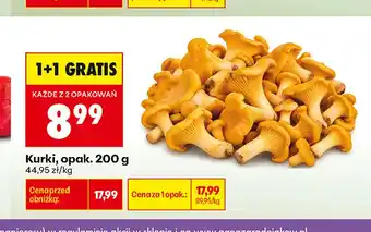 Biedronka Kurki oferta
