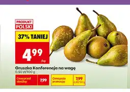 Biedronka Gruszki Konferencja oferta