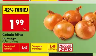 Biedronka Cebula żółta oferta