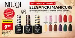 Biedronka Lakier hybrydowy Niuqi Fall Elegance oferta