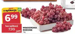 Stokrotka Winogrona różowe oferta