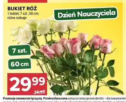Stokrotka Bukiet róż 7 szt. 60 cm oferta