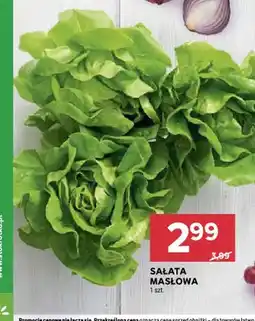 Stokrotka Sałata masłowa oferta