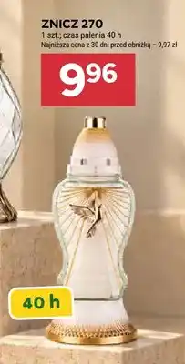 Stokrotka Znicz 270 oferta